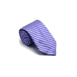 Castangia Striped Silk Tie
